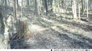 The Sentinel | 20MP 1080P Night Vision Trail Camera