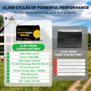 The Frost Line | 12V LiFePO4 Battery with Low-Temperature BMS (100Ah-300Ah)