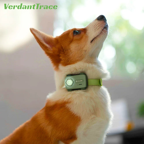 The Companion Link | AI Pet Phone with GPS Tracking & Two-Way Calling