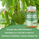 Soursop Graviola - Immune Enhancement Promote Digestion & Cellular Health, Improve Mood and Relieve Stress - 120 Capsules