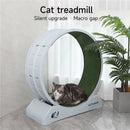 Katzenspielzeug Leises Laufband Laufrad Roller Flatbed Pet Fitness Kratzbaum Trainingsrahmen Katzenkletterbaum Haustierbedarf