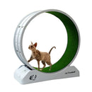 Katzenspielzeug Leises Laufband Laufrad Roller Flatbed Pet Fitness Kratzbaum Trainingsrahmen Katzenkletterbaum Haustierbedarf