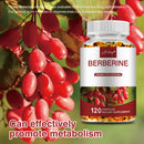 Berberine - Blood Sugar Balance, Supports Cardiovascular and Digestive Health, Antioxidant - 120 Capsules