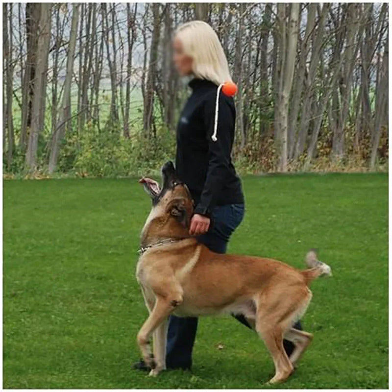 Dog Training Magnetic Ball, Orange/Blue Soft Ball with Rope