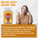 Liposomal NAD+ Capsules - Anti-aging, Replenish Energy, Enhance Focus, Support Cellular Health - 120 Capsules
