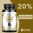 Shilajit 1000mg – Reich an natürlicher Fulvinsäure und Spurenelementen – Verbessert Ausdauer, Konzentration, Gedächtnis & Immunabwehr – 120 Kapseln