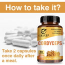 Cordyceps Supplement - Brain Health for Memory and Focus, Relief Stress, Better Mood - 120 Capsules