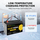 The Frost Line | 12V LiFePO4 Battery with Low-Temperature BMS (100Ah-300Ah)
