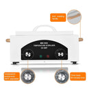 2230ML Hot Air Sterilizer 300W Dry Heat infection Foot Care Tattoo Nail Studio Sterilizer Cabinet Autoclave with Timer