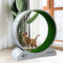 Katzenspielzeug Leises Laufband Laufrad Roller Flatbed Pet Fitness Kratzbaum Trainingsrahmen Katzenkletterbaum Haustierbedarf