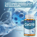 CoQ10 Kapseln - Unterstützen die Herz-Kreislauf-Gesundheit, spenden Energie, fördern die Durchblutung, Antioxidans - 120 Kapseln