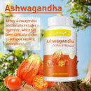 Ashwagandha Ergänzung - Verbessert den Schlaf, fördert Konzentration & Gehirnleistung, lindert Stress & hebt die Stimmung - 120 Kapseln