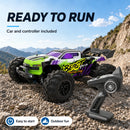 ZNLYRION RC Car Buggy 1:16 4 Wheel Drive Off-Road SG116MAX PRO Vehicle Optional Brushless Motor Anti-Slip Tire Remote Control Racing Truck