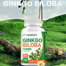 Ginkgo Biloba Capsules - Brain Health, Improving Concentration & Memory, Energy Boost - 120 Capsules