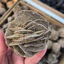 Natural Beautiful Quartz Desert Rose Crystal Mineral Selenite Raw Stones Specimens Rough Gem Adenium Obesum for Reiki Healing