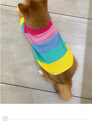 Puppy Rainbow Sweater Knitted Pet Cat Sweater Warm Dog Sweatshirt Dog Winter Clothing Kitten Puppy Sweater
