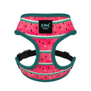 Fashion Dog Harness with Cute Pattern and Bright Color in Breathable Fabric
