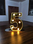 44543022661855|44543022694623