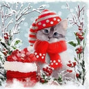 44543015780575|44543015813343|44543015846111|44543015878879|44543015911647|44543015944415|44543015977183|44543016009951|44543016042719