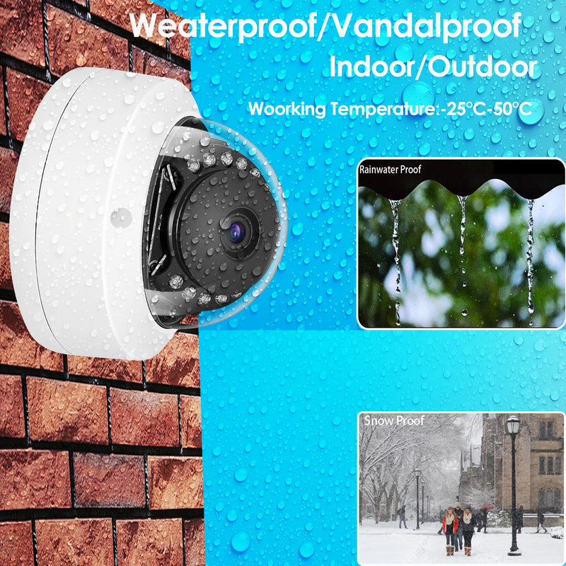 5MP Metal Dome POE IP ONVIF Audio Record CCTV Camera 4mp Vandalproof IP66 Outdoor Home Security VideoFace Detection