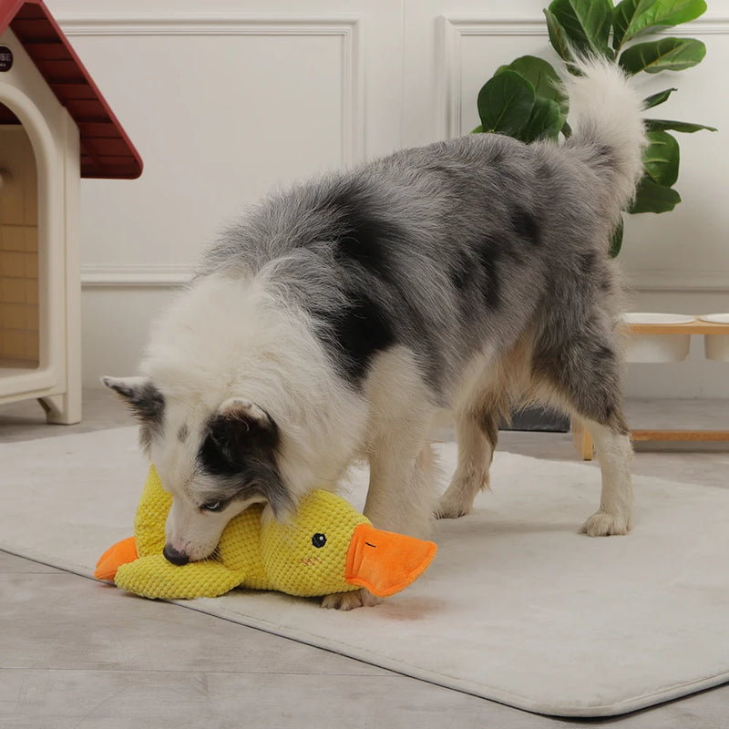 HOOPET Dog Sleeping Toy Duck Chew Sounding Toy for Small Medium Large Dogs Outdoor Interactive Pet Training Toy Dog Accessories