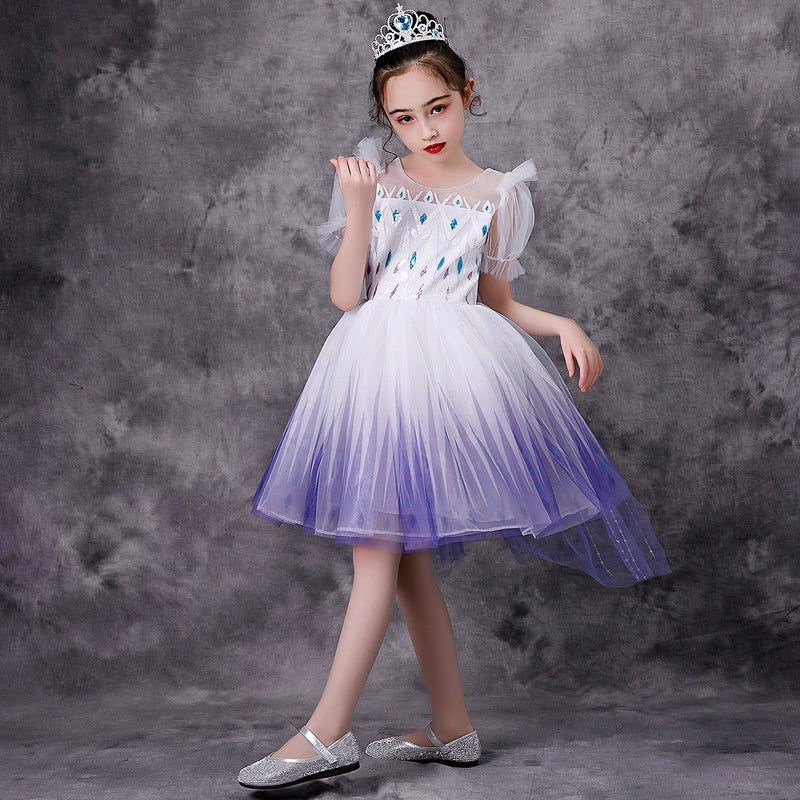 Girl's Princess Frozen Snow Queen Elsa Party Cosplay Costume Dress