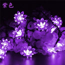 44442709819615|44442709852383|44442709885151|44442709917919|44442709950687