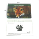 72PCS Montessori Flash Cards Animals  Footprints Montessori English Learn Card Early Educational Toy Memory Game for Children