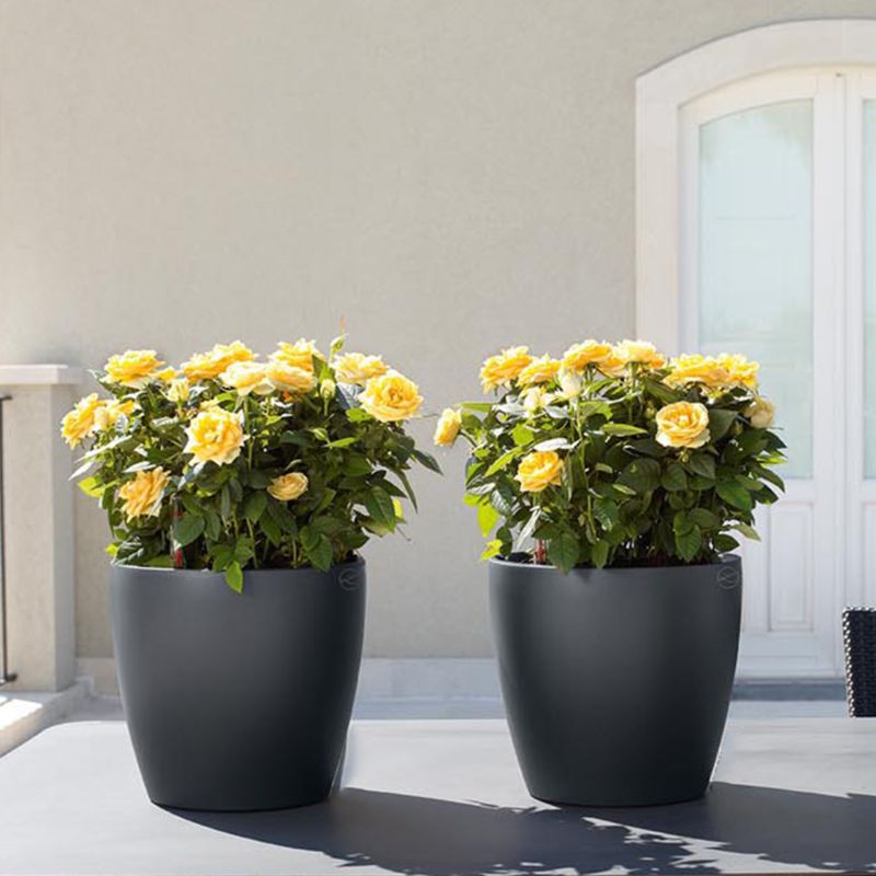 PP Self Watering Planters Flower Pots Indoor with Water Level Indicators 6x5'' New Hot