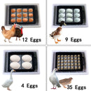 The Genesis Chamber | 12-Egg Digital Incubator with Intelligent Auto-Turning