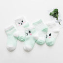 45563676360927|45563676426463