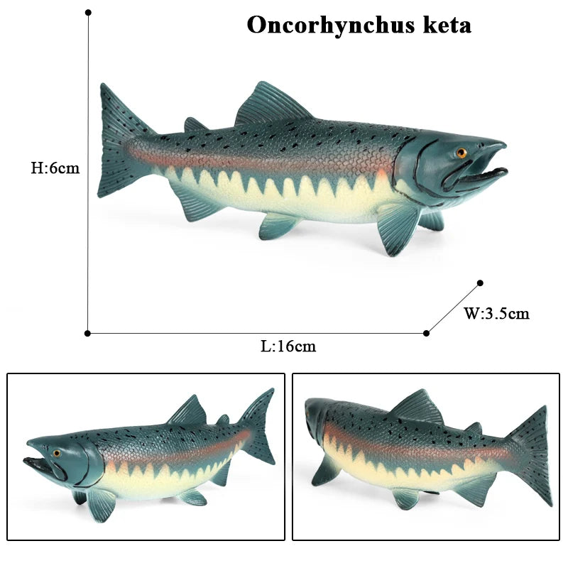 Oenux Sea Life Animals Model Action Figures Ocean Fish Sailfish Bass Grouper Salmon Aquarium Figurines PVC Educational Kids Toy