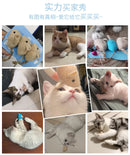 Catnip Cat Toy Soft Fleece Plush Simulation Mouse Catnip Seeds Toy Teeth Cleaning Interactive Funny Palying Toys for Cats Kitten