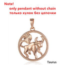 Zodiac Sign 12 Constellation Pendant Necklace 585 Rose Gold Color Horoscope Necklace Mens Chain Gift Fashion Jewelry GPM21
