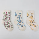 44453909954783|44453909987551|44453910020319