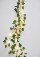 Ivy Eucalyptus leaves Leaf fairy lights led string lights,garland wedding home decoration, mini led copper lights