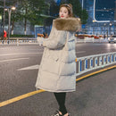 44504594546911|44504594579679|44504594612447|44504594645215|44504594677983