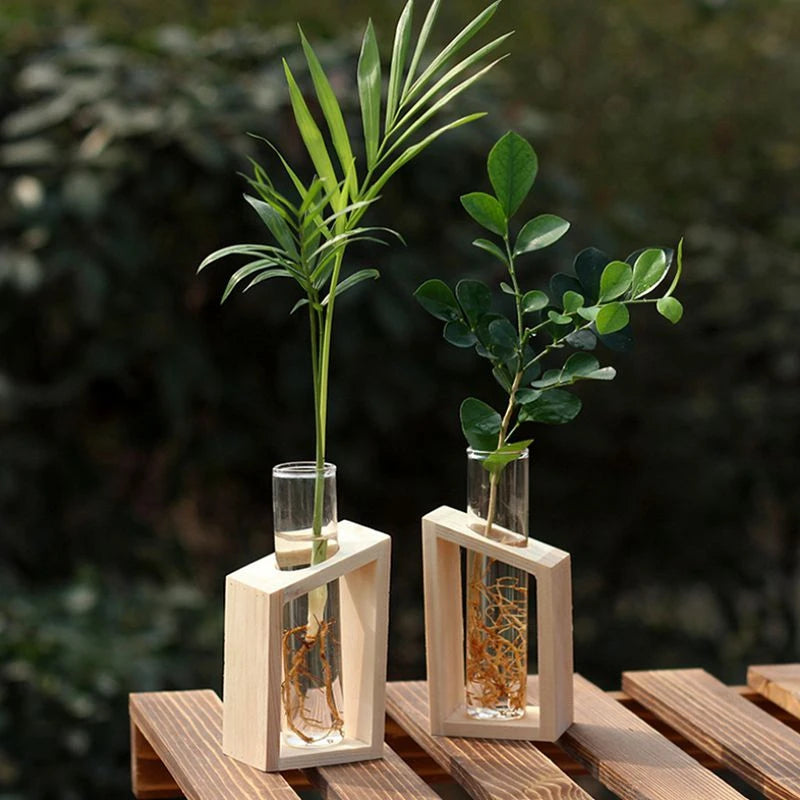 Hot Sale Crystal Glass Test Tube Vase in Wooden Stand Flower Pots for Hydroponic Plants Home Garden Decoration 1PCS