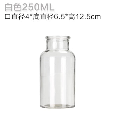 Glass Vase Home Small Hydroponic Plant Glass Bottle Living Room Decoration Dried Flower Decoration Transparent Flower Vase