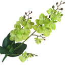 JAROWN Artificial Real Touch Latex Butterfly Orchid Flores 3 Branch 15 Head Band Leaf Fake Flower Wedding Decor Home Decorations