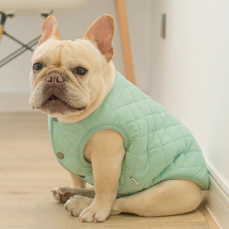 [MPK Store] New Dog Vest with Buttons, French Bulldog Vest, English Bulldog Vest, Dog Clothes