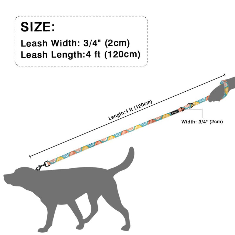 Printed Dog Leash Rope Fashion Nylon Pet Walking Lead For Small Medium Dogs Cat Soft Running Training Leashes Chihuahua Pitbull