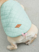 [MPK Store] New Dog Vest with Buttons, French Bulldog Vest, English Bulldog Vest, Dog Clothes