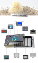The Genesis Chamber | 12-Egg Digital Incubator with Intelligent Auto-Turning