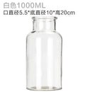 Glass Vase Home Small Hydroponic Plant Glass Bottle Living Room Decoration Dried Flower Decoration Transparent Flower Vase