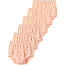 44448488653023|44448488685791|44448488718559|44448488751327|44448488784095|44448488816863|44448488849631