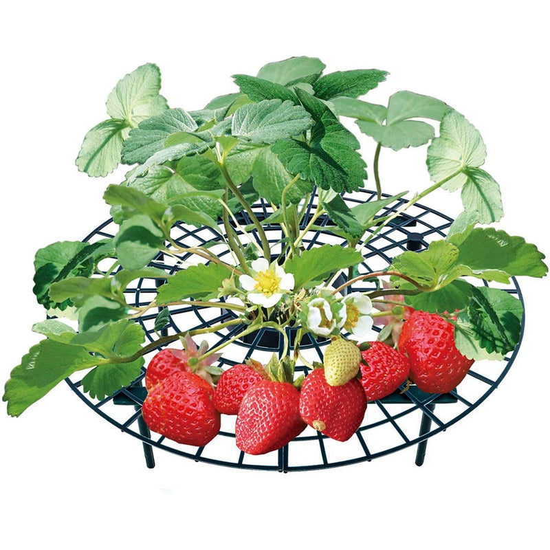 5/10/20 PCS Strawberry Stand Frame Holder Balcony Planting Rack Fruit Support Plant Flower Climbing Vine Pillar Gardening Stand