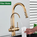 The Twofold Tap | Rozin 2-in-1 Filtered Kitchen Faucet in Antique Brass