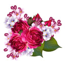 46381594378463|46381594411231|46381594443999|46381594640607|46381594673375