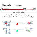 Truelove Buffer Bungee Dog Leash for Outdoor All Breed Dogs Training Running Walking Safe Leashs for Dog Harness Collar Leash